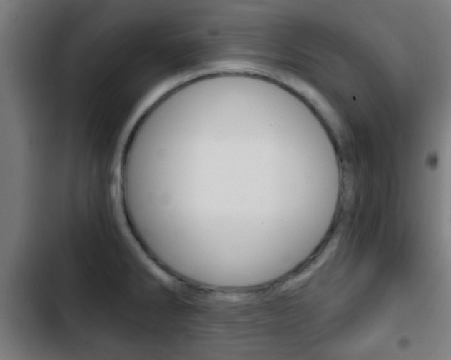 X0000103221286200808280917