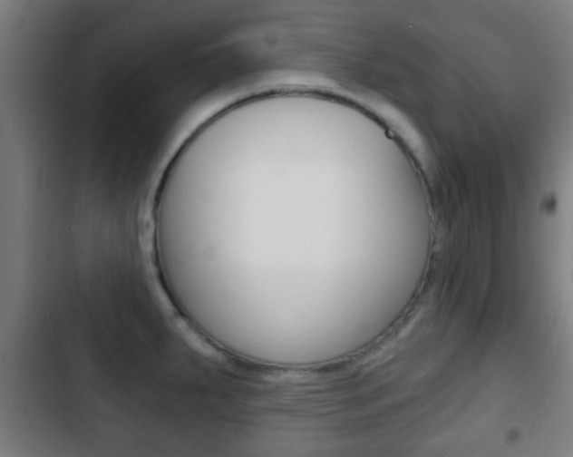 X0000103221287200808280917