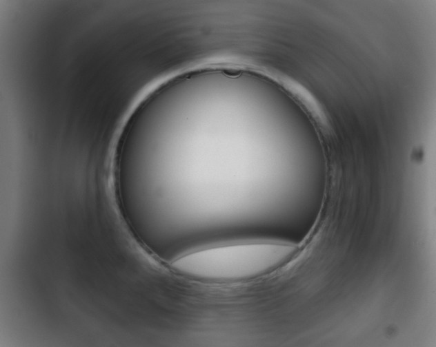 X0000103221288200808280917