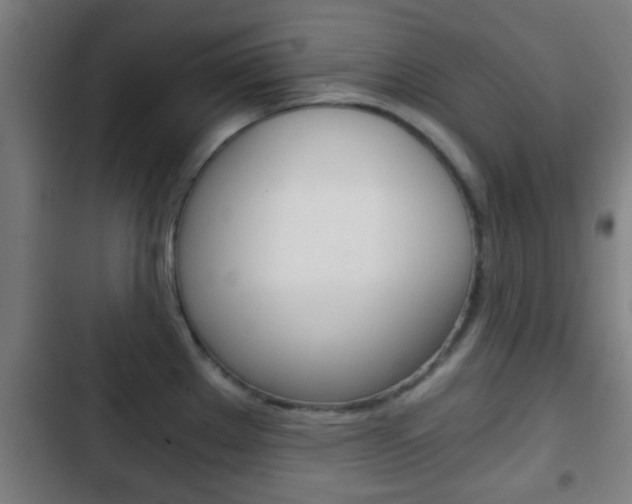X0000103221289200808280917
