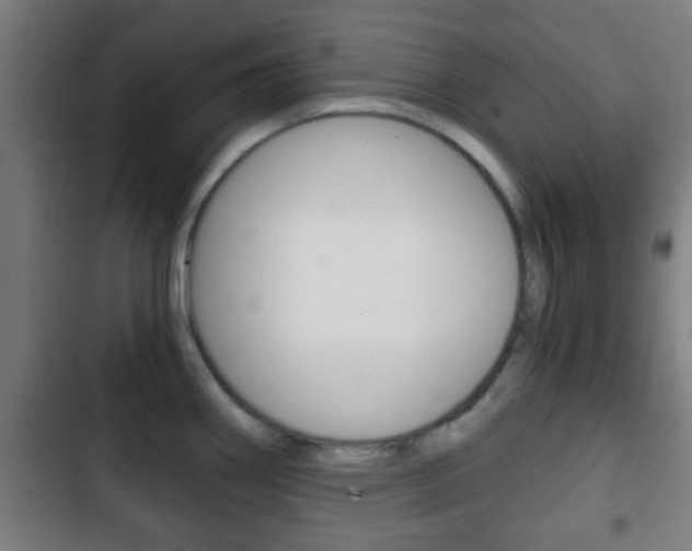 X0000103221290200808280917