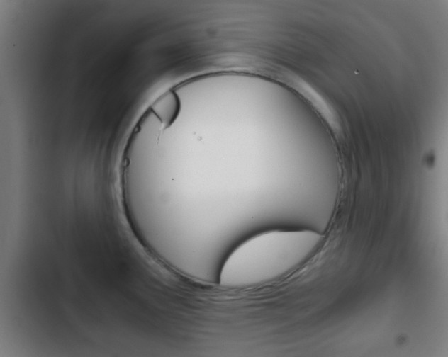X0000103221291200808280917