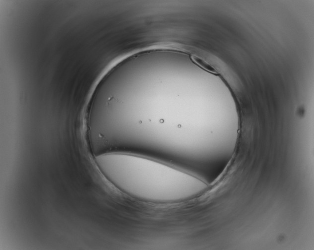 X0000103221292200808280917