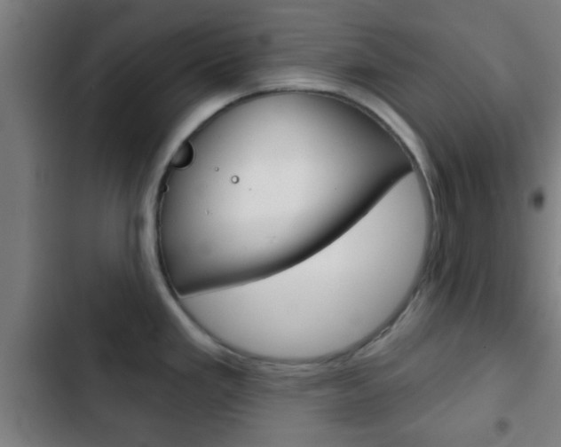 X0000103221293200808280917