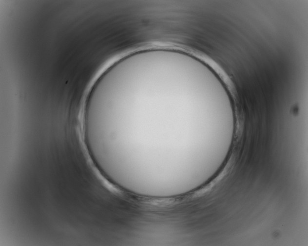 X0000103221294200808280917