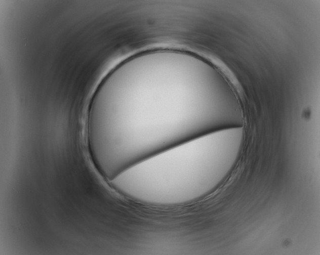 X0000103221295200808280917