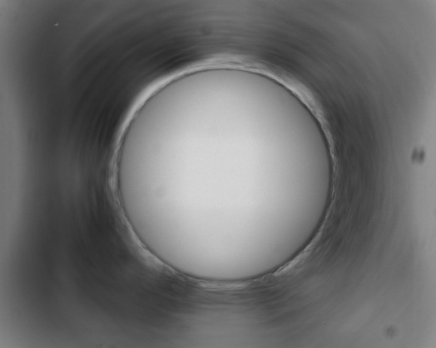 X0000103221296200808280917