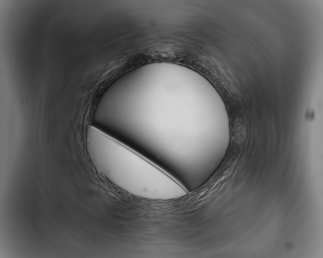 X0000103221297200808280916