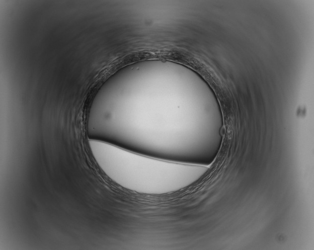 X0000103221298200808280916