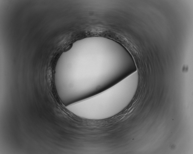 X0000103221299200808280917