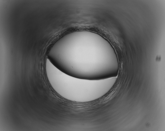 X0000103221300200808280917