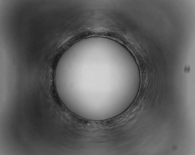 X0000103221301200808280917