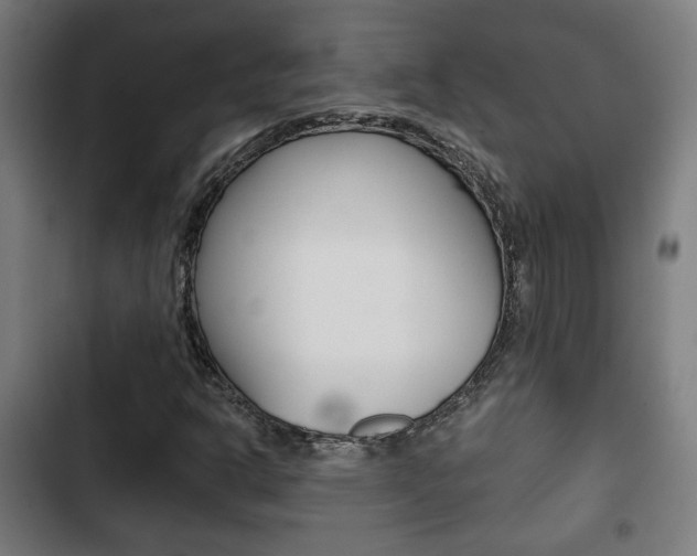 X0000103221302200808280917