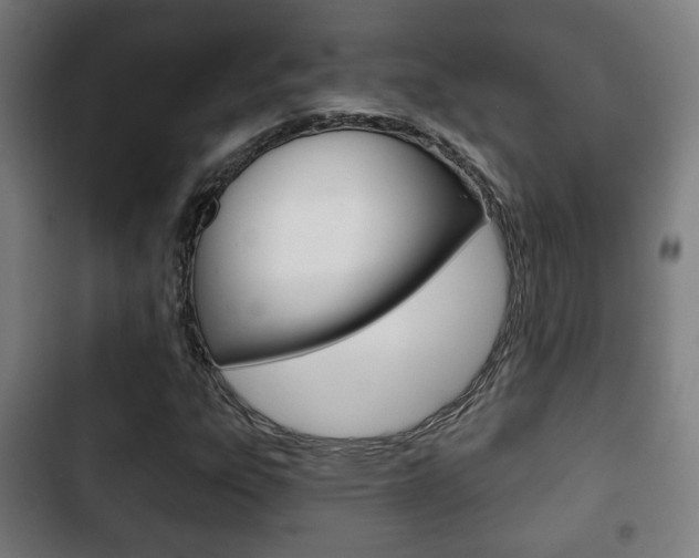 X0000103221303200808280917