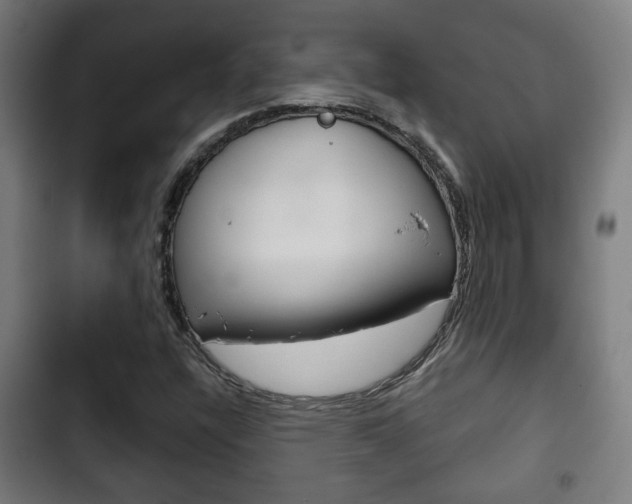 X0000103221304200808280917