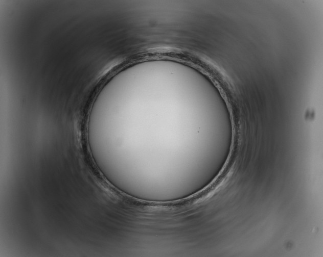 X0000103221305200808280917