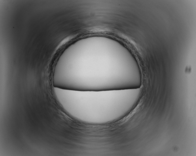 X0000103221306200808280917