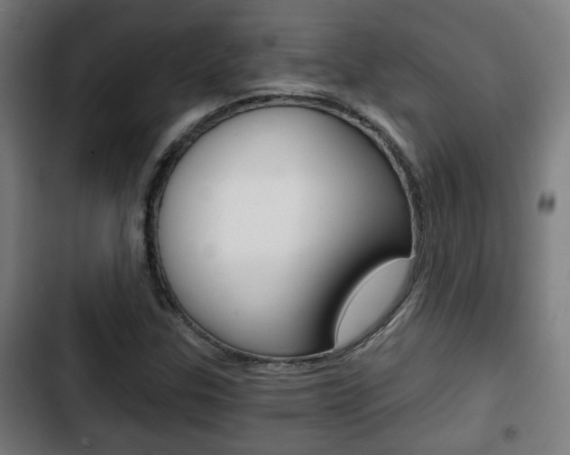 X0000103221307200808280917