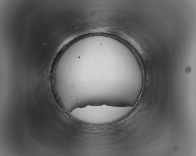 X0000103221308200808280917