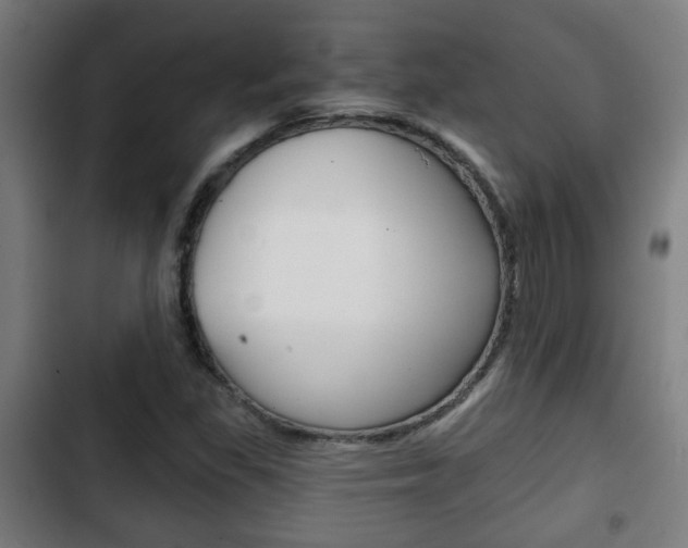 X0000103221309200808280917