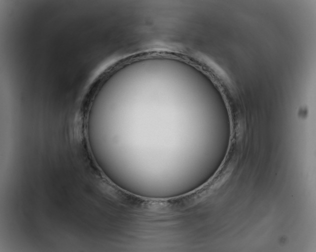 X0000103221310200808280917