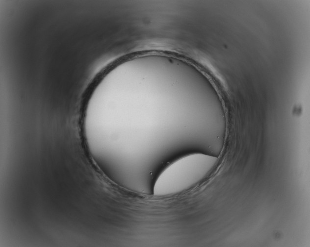 X0000103221312200808280917