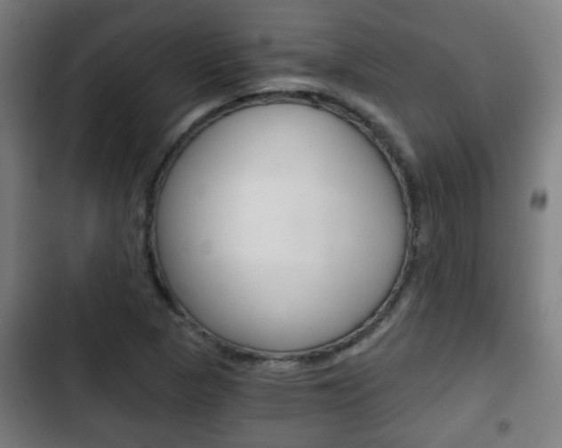 X0000103221313200808280917