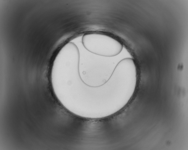 X0000103221314200808280917