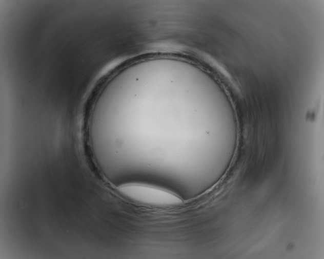 X0000103221315200808280917