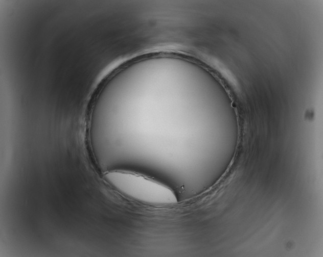 X0000103221316200808280917