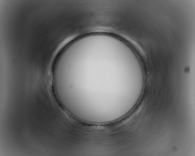X0000103221317200808280917