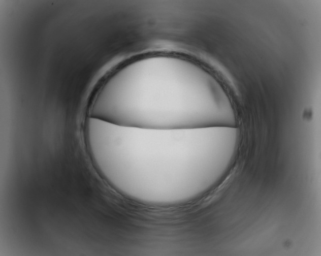X0000103221318200808280917