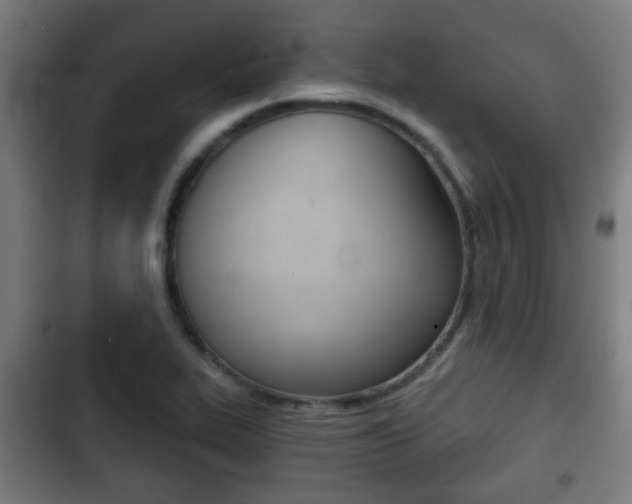 X0000103221319200808280917