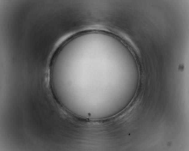 X0000103221320200808280917