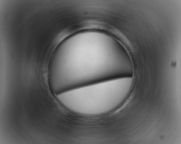 X0000103221321200808280917