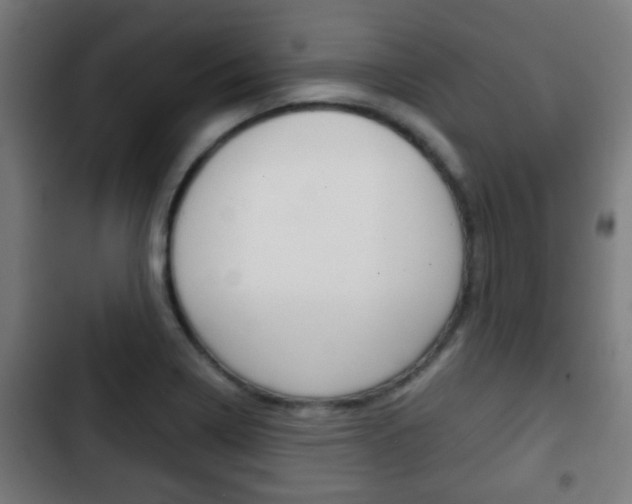 X0000103221322200808280917