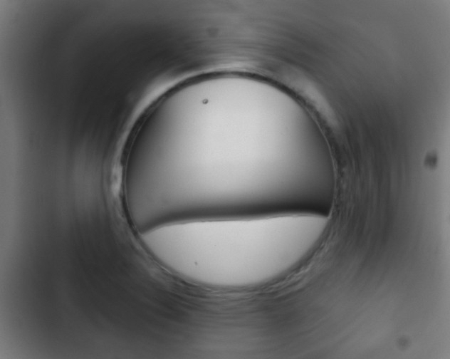 X0000103221324200808280917