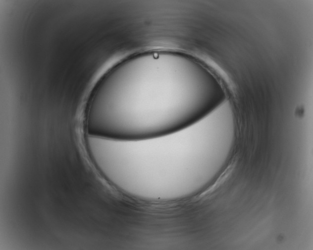 X0000103221325200808280917
