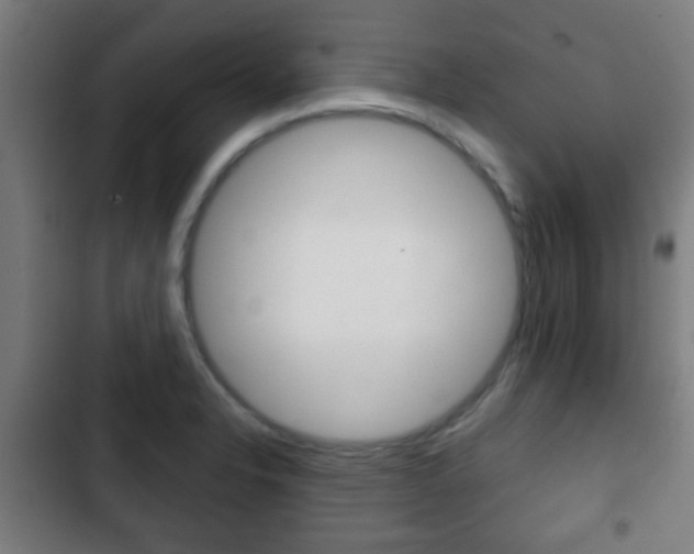 X0000103221326200808280917