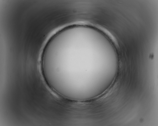 X0000103221327200808280917