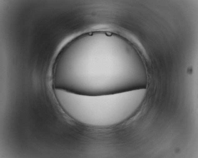 X0000103221328200808280917