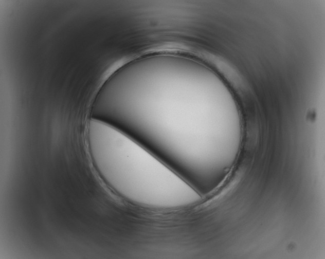 X0000103221329200808280917