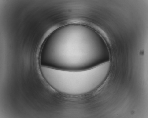 X0000103221330200808280917