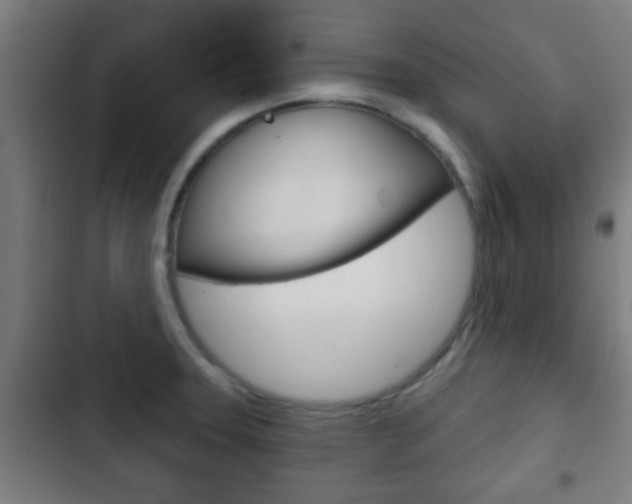 X0000103221331200808280917