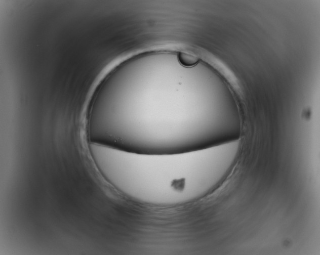 X0000103221332200808280917