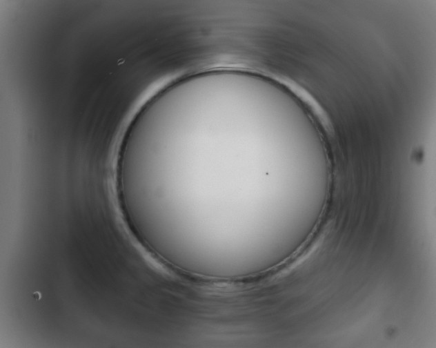 X0000103221333200808280917