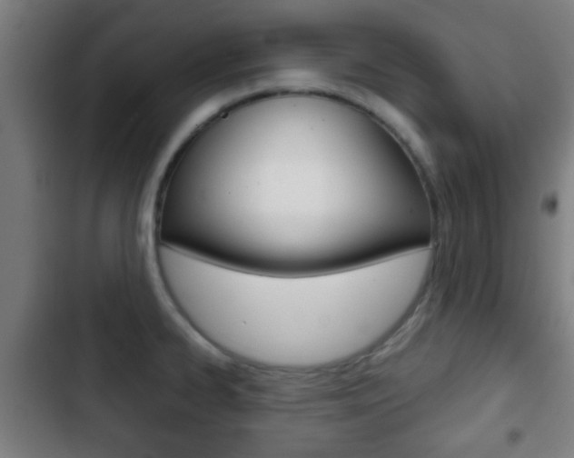 X0000103221334200808280917
