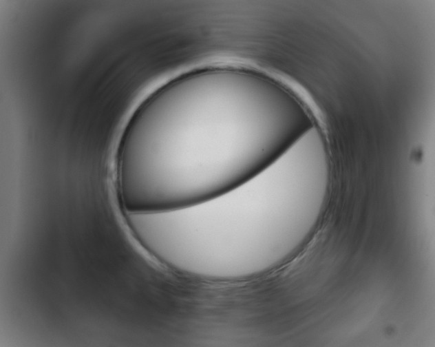 X0000103221335200808280917