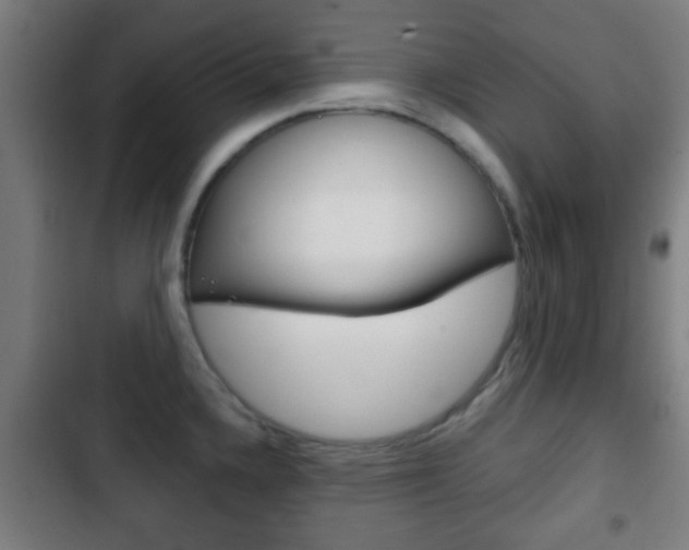 X0000103221336200808280917