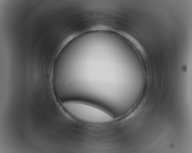 X0000103221337200808280917